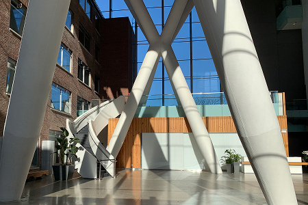 The Board of Directors post image